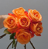 flower design samples - click to see more